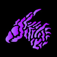 vitomqn