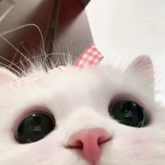 为何幸福如驴薄饼