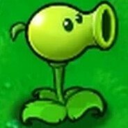 pea