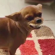 我们都是小怪兽