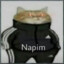 Napim