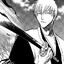 EmVeSS-