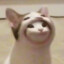 Lanmumu0