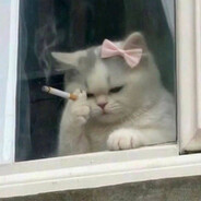 чмышка