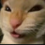 TableCup
