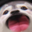 牛b克拉斯