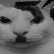 anus