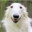 Borzoi's avatar