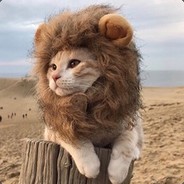 御风浪人灬剑本心