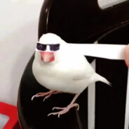 直升飞机空降异大陆