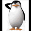 Skipper