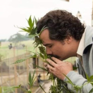 Pablo Emilio Escobar Gaviria