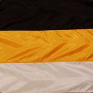 S.LionS | _Bez_Nika_