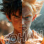 Son GoHan