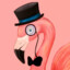 Mr Flamingo