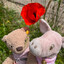 Tamy Bear ʕᵒᴥᵒʔ