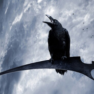 白烏鴉