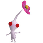 White Pikmin