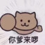 武当王吔