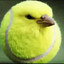 TheGreatBeep