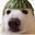 Melon
