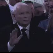 mraz1 avatar
