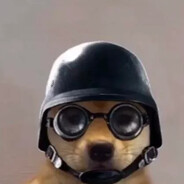 Captain Doggo - steam id 76561197964476476