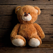 Медведик  ПУП