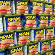 Spam Enjoyer