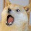 MlgDoge™©®