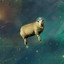 SpaceSheep