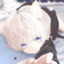 kitten meow meow