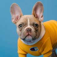 忻儿不好好吃饭