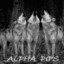 Alpha