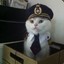 Cat Captain