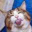 ツ
