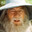 Gandalf The Bicurious
