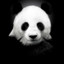 ☯Black✪Panda☂