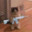 liltix99