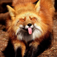 БЕСявая ЛИСА