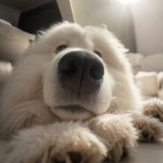 世界人民大团结