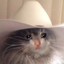 Babycat rustchance.com