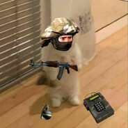 felix