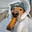 CEX_Manulexion74