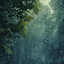 Petrichor
