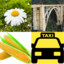 Flower Bridge Corn Taxi