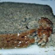 Skrabben avatar