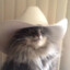 Cactus_us