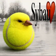 опасный писькатр