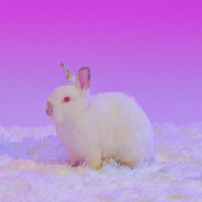 姓佩名琪叫佩琪